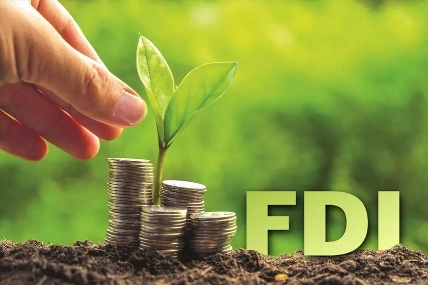 Dòng vốn FDI xanh vào Việt Nam đang ngày càng tăng. Ảnh minh hoạ. 