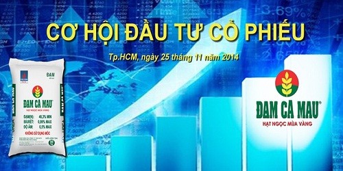 Cơ hội đầu tư cổ phiếu Đạm Cà Mau