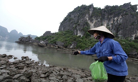 Vào những ngày nghỉ cuối tuần hay dịp nghỉ lễ, người dân Hạ Long lại đổ ra những bãi đá ven biển để tìm kiếm các loại thực phẩm “đặc sản” làm đồ nhậu hay cải thiện bữa ăn của gia đình.