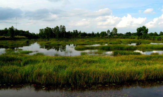 Ninh Thạnh Lợi ngày nay.