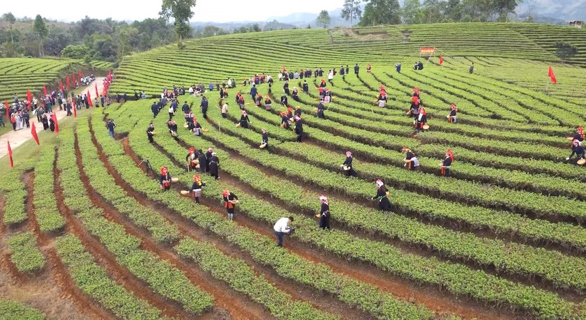 Lào Cai phát động phong trào thi đua 'Chung sức xây dựng nông thôn mới'