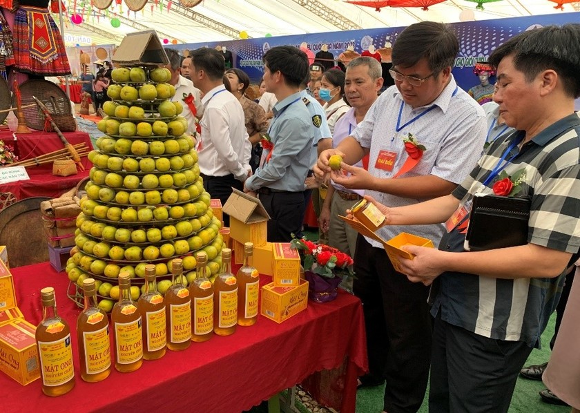 Hội nghị xúc tiến thương mại và đẩy mạnh xuất khẩu vùng Trung du, miền núi phía Bắc 