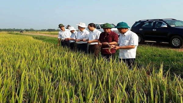 Ông Hùng (Áo sẫm màu) có thời gian giữ chức Chủ tịch, Bí thư xã Vĩnh Kim và đưa xã này lên là xã đầu tiên của tỉnh Quảng Trị đạt chuẩn nông thôn mới