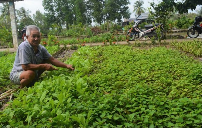 Lan tỏa phong trào nông dân sản xuất giỏi 