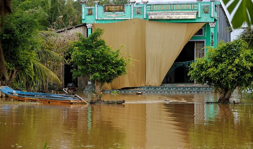 Triều cường dâng cao, nguy cơ tràn nhiều tuyến đê Năm Căn