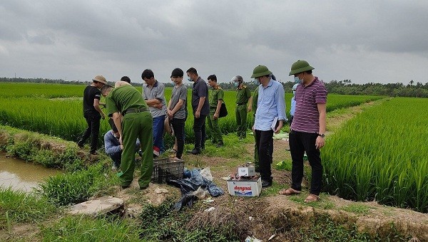 Ruộng lúa nơi là Ph tử vong.