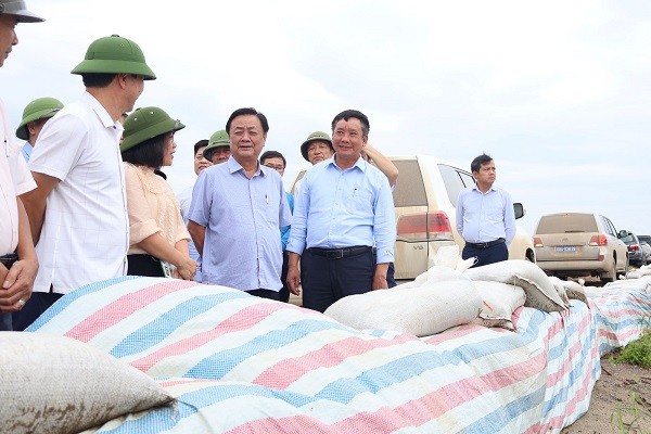 Đoàn công tác kiểm tra thực tế tại tuyến đê tả sông Thái Bình.