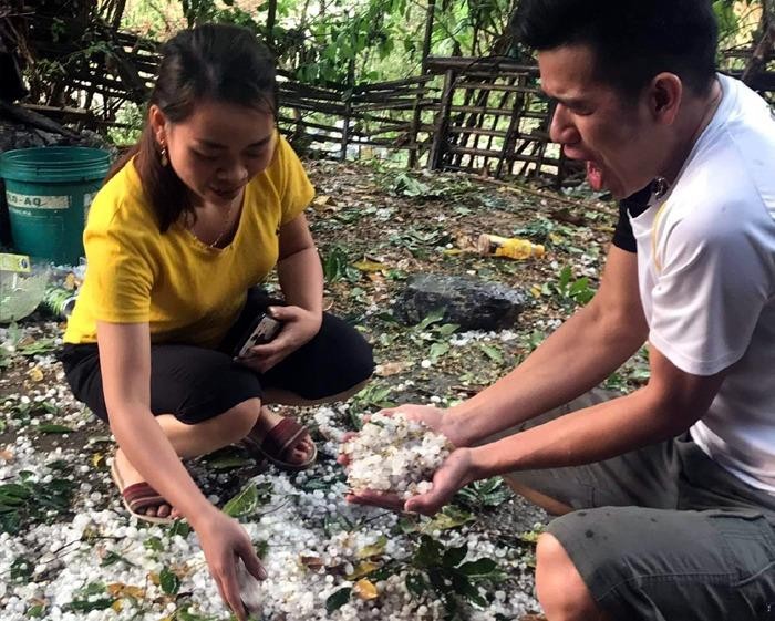 Mưa đá gây thiệt hại hoa màu tại tỉnh Điện Biên