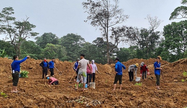 Đoàn cơ sở VQG Phong Nha - Kẻ Bàng đã trồng 913 cây xanh (đợt 1) tại các điểm sạt lở, dọc hành lang đường giao thông.