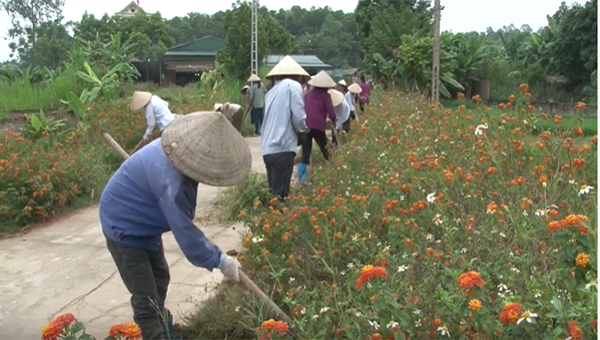 Phú Thọ: Phụ nữ huyện Thanh Ba chung sức xây dựng nông thôn mới 