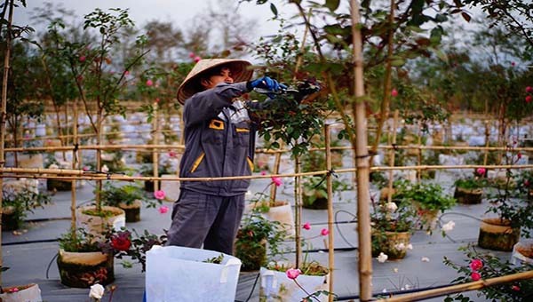 Cao Bằng đã đề nghị Trung ương có hướng dẫn cụ thể để sớm hỗ trợ người dân gặp khó khăn do đại dịch Covid-19.