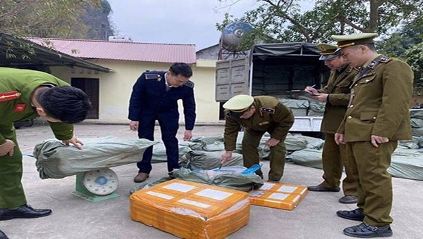 Lực lượng chứng năng đang tiến hành kiểm tra và thu giữ số nầm lợn không có hoá đơn xuất xứ