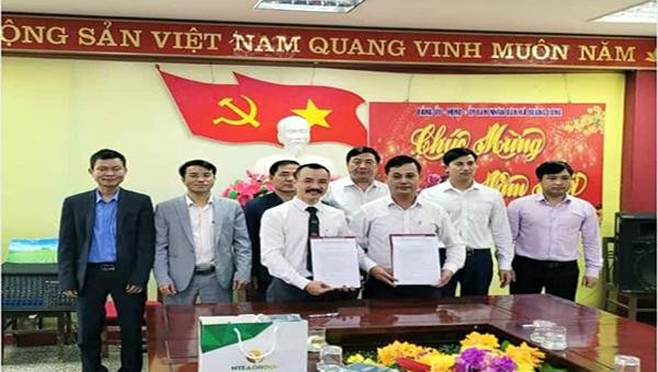 NTEA ký kết biên bản ghi nhớ làm việc hợp tác sản xuất chế biến chè chất lượng cao đạt tiêu chuẩn sạch theo quy trình hữu cơ với tỉnh Quảng Ninh