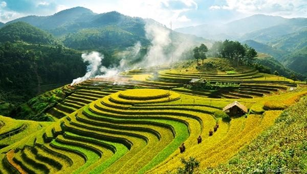 Ruộng Bậc Thang - Mù Cang Chải