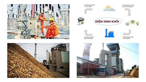 Sơ đồ sản suất điện sinh khối