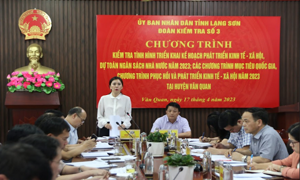 Bà Đoàn Thu Hà, Ủy viên Ban Thường vụ Tỉnh ủy, Phó Chủ tịch UBND tỉnh phát biểu tại buổi kiểm tra trên địa bàn huyện Văn Quan (Ảnh: Xuân Hiếu)