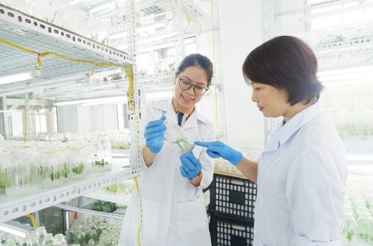 Từ năm học 2021-2022 Học viện Nông nghiệp Việt Nam chính thức mở ngành đào tạo “Công nghệ Sinh dược”