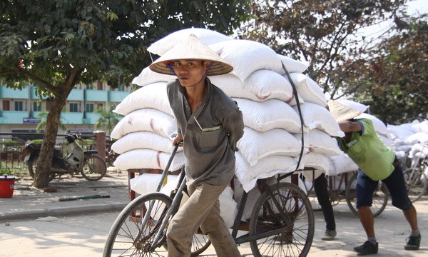 Lao động phi chính thức là lao động tự  tạo công việc, không có hợp đồng lao động, không được đóng BHXH, BHYT hay hưởng lương cố định. (Ảnh minh họa)