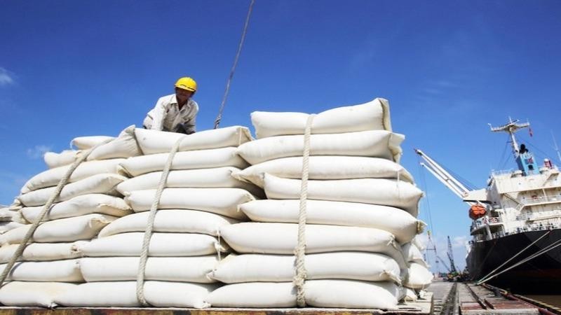 Doanh nghiệp cho rằng Tổng cục Hải quan mở cổng đăng ký tờ khai hải quan xuất khẩu 400.000 tấn gạo trong đêm là không minh bạch. (Ảnh minh họa)