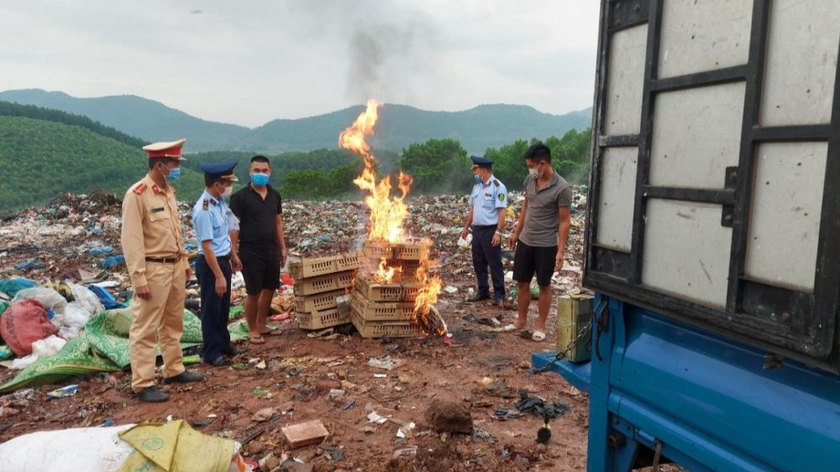 Lực lượng chức năng giám sát quá trình tiêu hủy con giống gia cầm không rõ nguồn gốc.