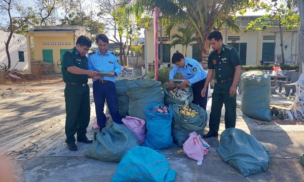 Lực lượng chức năng tỉnh Ninh Thuận kiểm tra số thuốc lá trôi dạt vào bờ biển Sơn Hải, huyện Thuận Nam, tỉnh Ninh Thuận.