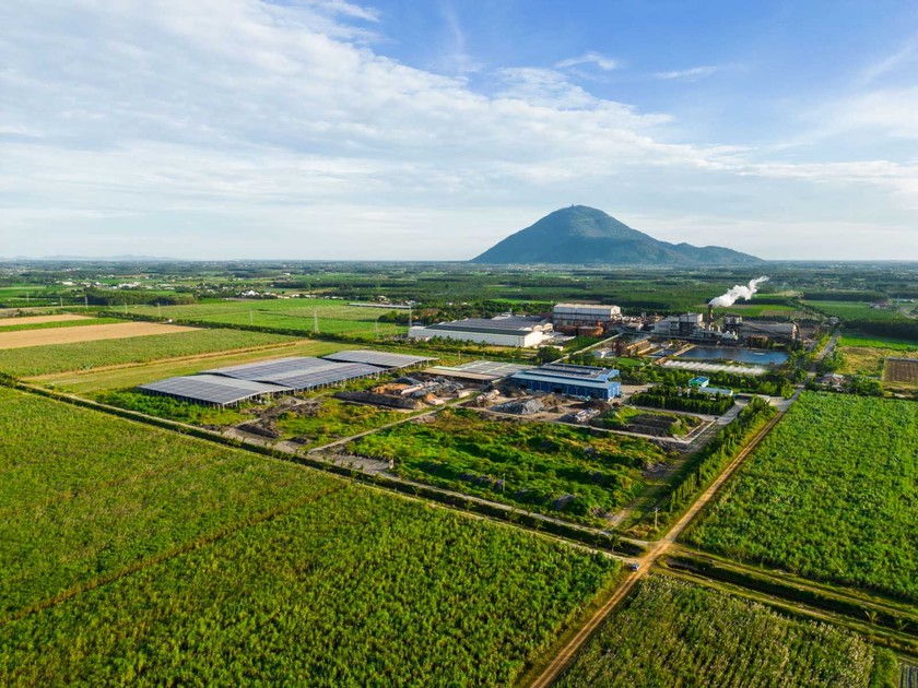 TTC AgriS tiên phong chuyển đổi mô hình kinh doanh, trở thành doanh nghiệp nông nghiệp công nghệ cao, tham gia sâu rộng vào chuỗi giá trị nông nghiệp toàn cầu.