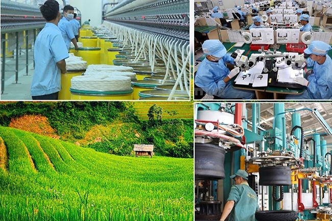 Việt Nam cần sự giúp sức từ quốc tế trong tăng trường xanh. (Ảnh minh họa: Bộ Công Thương)