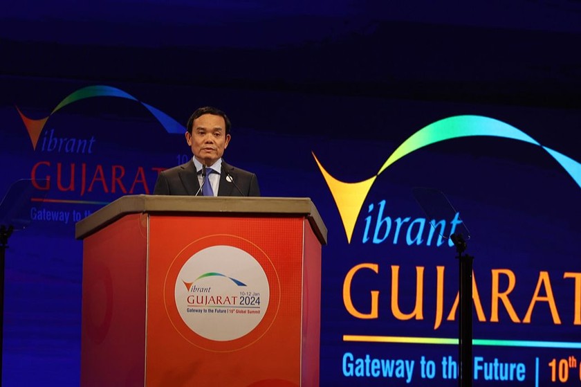 Phó Thủ tướng Trần Lưu Quang phát biểu tại Hội nghị. (Nguồn ảnh: VGP)