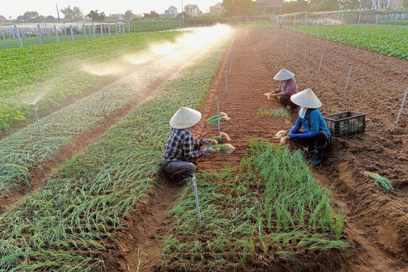 Cách làm hay, sáng tạo trong hoạt động tín dụng chính sách ở Quỳnh Lưu