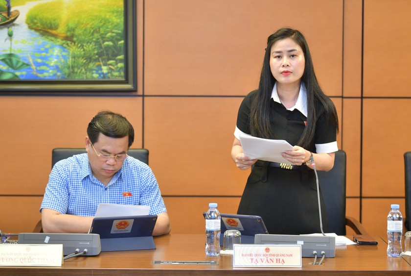 Đại biểu Đặng Thị Bảo Trinh. (Ảnh: PV)