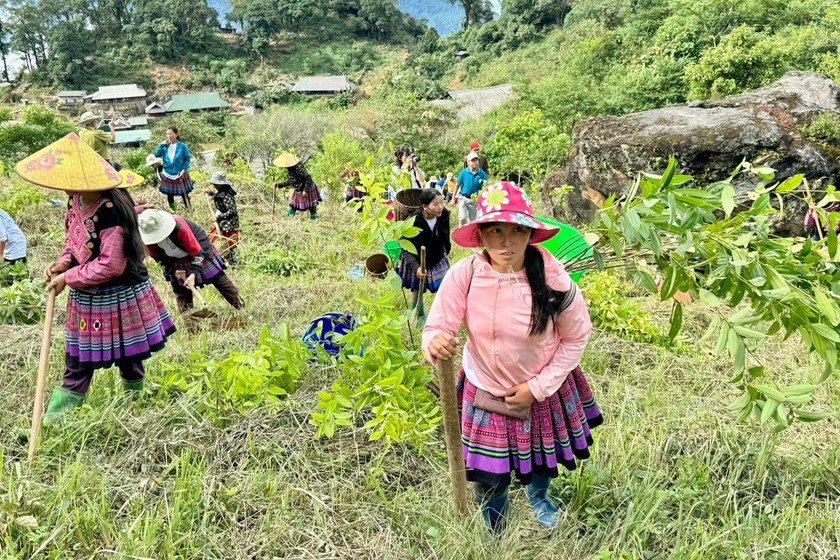 Người dân tham gia trồng cây rừng tại Khu Bảo tồn Thiên nhiên Hang Kia - Pà Cò. (Ảnh: PV)