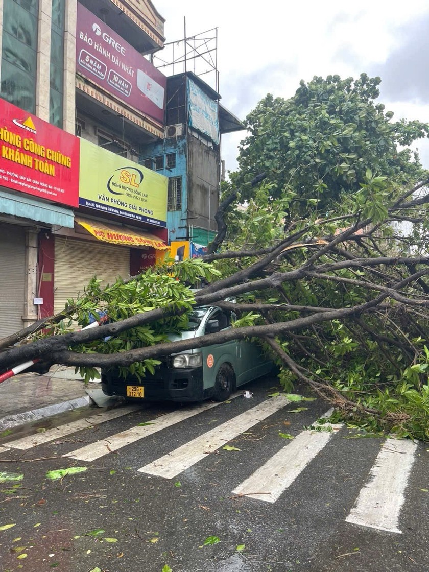 Đội Cảnh sát PCCC&amp;CNCH, Đội Giao thông trật tự, Công an phường - Công an quận Thanh Xuân, phối hợp với dân quân, BCH quân sự địa phương xử lý nhiều điểm cây xanh đổ do ảnh hưởng mưa bão.