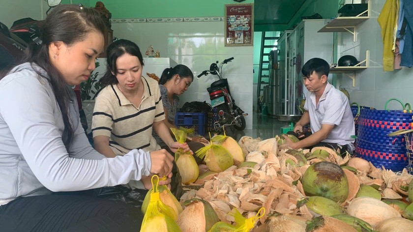 Không chỉ cơm dừa, nước dừa mà ngay cả gáo dừa và xơ dừa đều được tận dụng làm nguồn nguyên liệu cho ngành chế biến (Ảnh: Nguyễn Thuận)