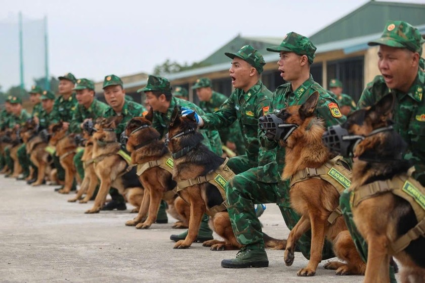  HLV và các quân khuyển trên sân diễn tập. (Ảnh: Phương Liên) 