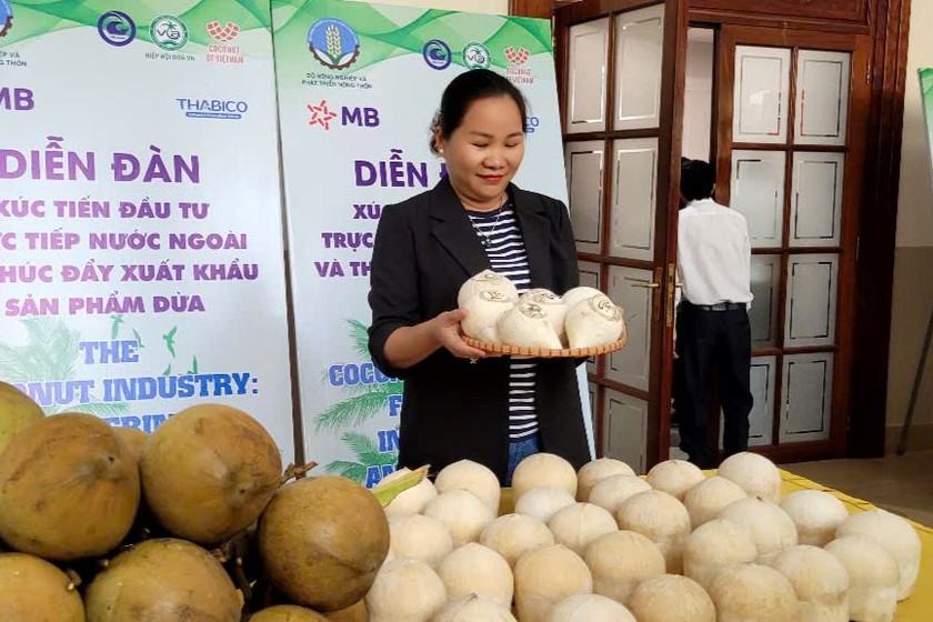 Tạo mối liên kết đưa sản phẩm từ trái dừa xuất khẩu bền vững