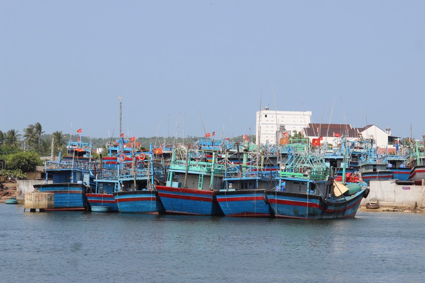 Hiện 100% tàu cá của tỉnh Bình Định có chiều dài từ 15m trở lên đã được trang bị thiết bị giám sát hành trình theo quy định.