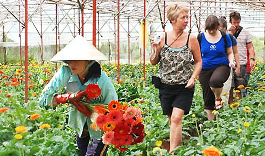 Du lịch nông nghiệp bao giờ bứt phá?