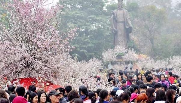 Trưng bày 20.000 cành hoa anh đào và tuyển chọn Đại sứ thiện chí