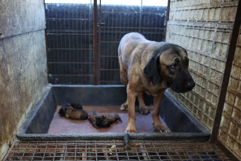 Ảnh minh hoạ. Nguồn: Reuters.