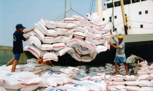 'Cú huých' lớn cho nhiều doanh nghiệp xuất khẩu gạo
