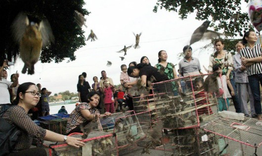 Chim phóng sinh 'hút' khách Hà Nội ngày tiễn ông Công ông Táo