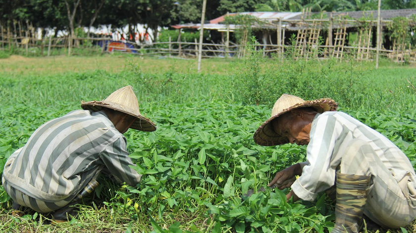 Đề xuất tiêu chí lựa chọn phạm nhân đưa ra lao động, hướng nghiệp, học nghề ngoài trại giam