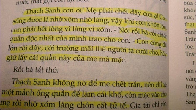 Đoạn trích gây phản ứng trong cuốn sách.