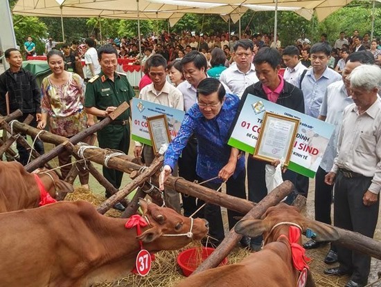 “Mua sim- tặng bò”- Viettel lên tiếng 