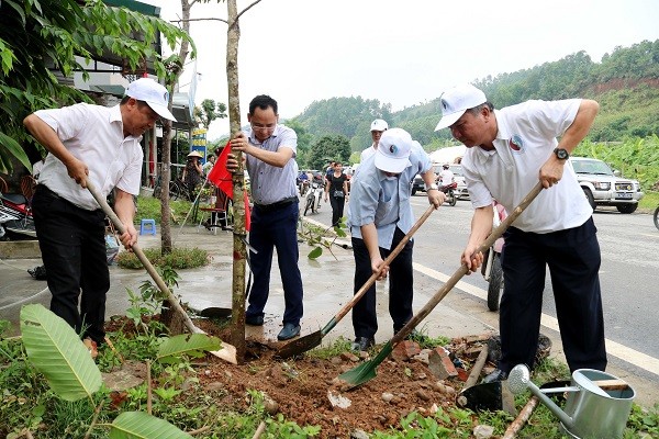 Trồng cây xanh trên các tuyến đường thành phố Lào Cai .