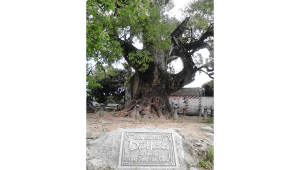 “Quốc chúa đô mộc Dã Đại Vương” ở xã Tiên Lục (huyện Lạng Giang, Bắc Giang).