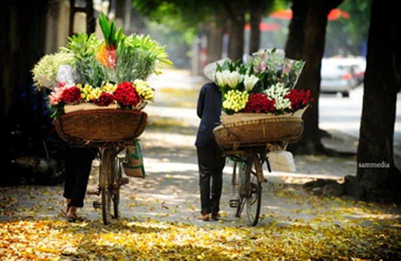 Những dấu chân tảo tần...