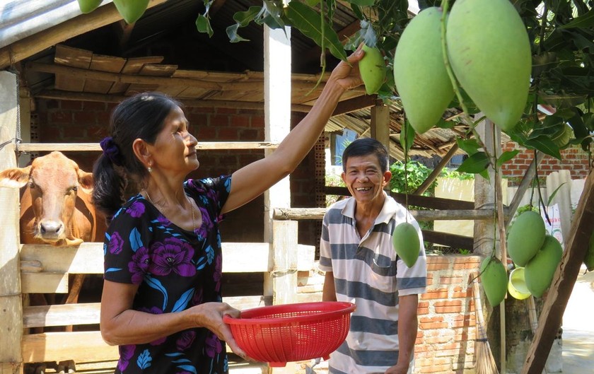 Lao động vừa sức để tự lo cuộc sống về già, vợ chồng ông Thường cảm thấy cuộc sống ý nghĩa hơn khi xin ra khỏi hộ nghèo. 