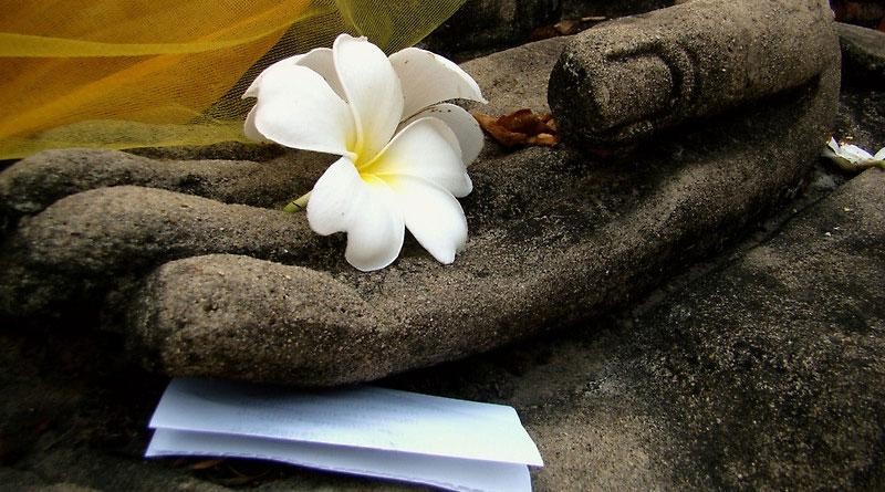 Thơ Thiền Việt Nam (Bài 9): Luận bàn hai chữ “Cuộc đời” trong bài kệ của Thiền sư Pháp Loa