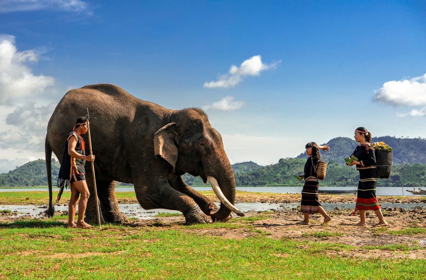 Ảnh thuộc bộ &quot;Bé và Voi&quot; (tác giả Bảo Hưng).